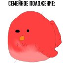 ���� �����, ������, 38 ��� - ��������� 8 ��� 2016 � ������ ������ ��������