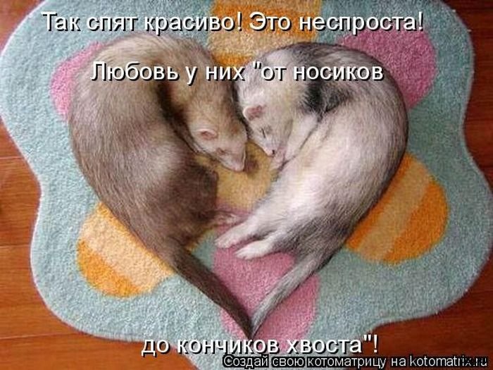 ***Victoria Viktorovna*** - 12  2016  14:22