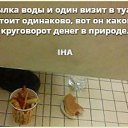 ���� ����, ������, 43 ���� - ��������� 18 ������� 2016 � ������ ������ ��������