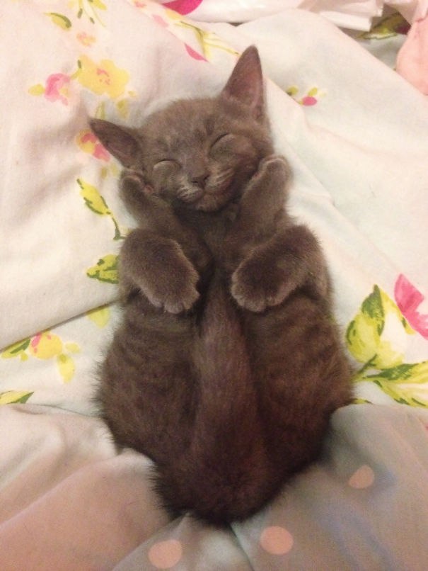       :3
