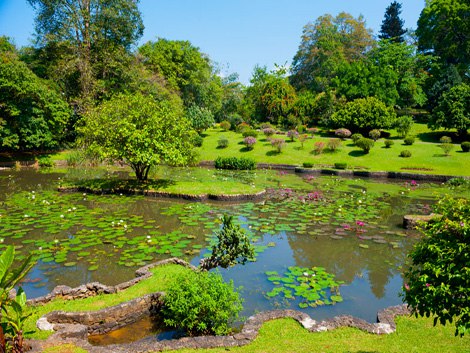    (Royal Botanical Garden)       .   ... - 4