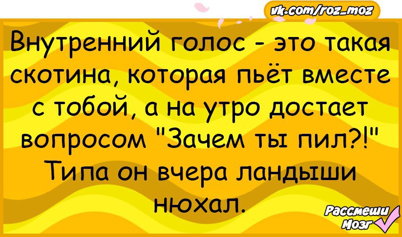 Зачем ты пила. Анекдот про голос. Анекдот про внутренний голос. Внутренний голос прикол. Голосовые анекдоты.