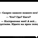 ���� ***�***, ����������� - ��������� 10 ������ 2016 � ������ ���� ����������
