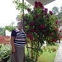  , , 68  -  10  2016     2016