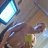 ���� ���������, ���������, 33 ���� - ��������� 13 ������� 2016