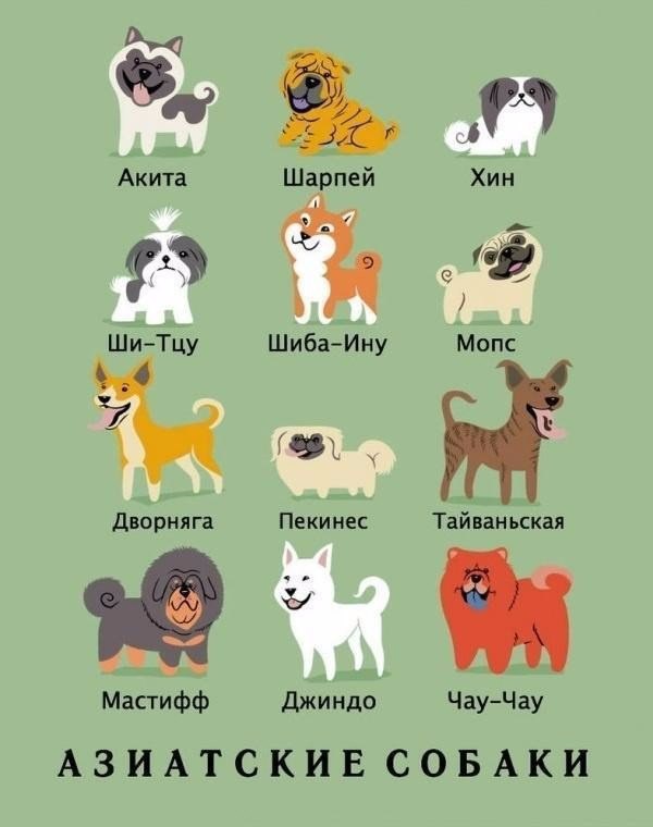  .#animal@travel.blog - 2