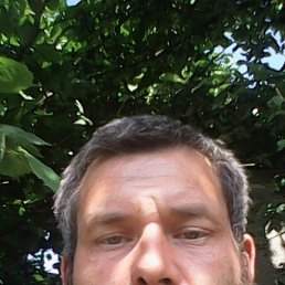 �����, ���������, 46 ���