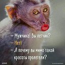 ���� �������, ������, 48 ��� - ��������� 2 ��� 2016 � ������ ���� ����������