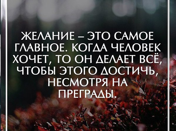    - 25  2016  17:25