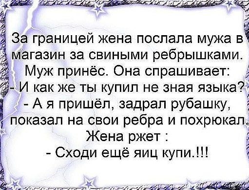 Natali-koshka - 10  2016  01:23
