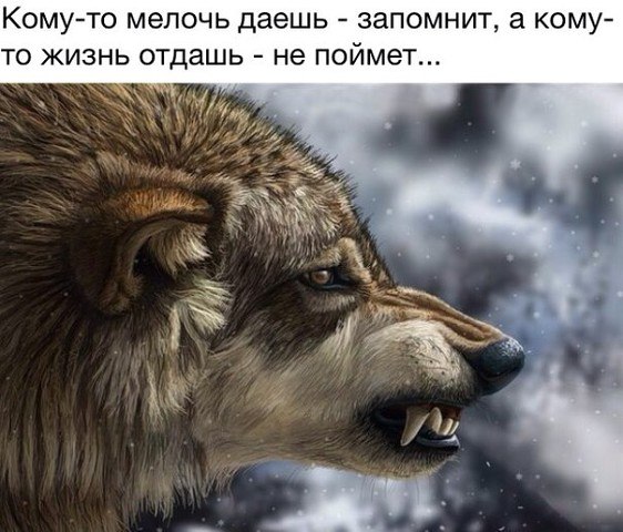   - 16  2016  15:35 - 2