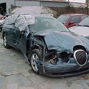 ���� ��������, �������, 41 ��� - ��������� 13 ���� 2016 � ������ ���� ���� ������