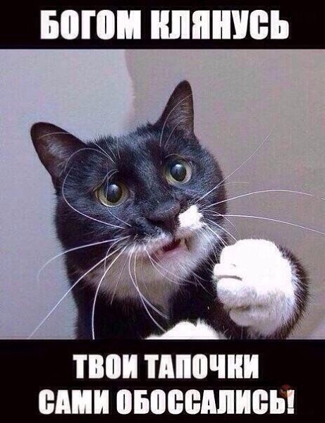 ������ - ��������� - 7 ������� 2016 � 14:23