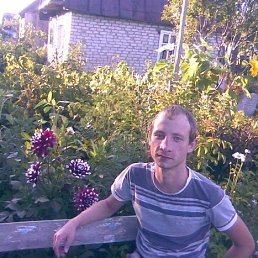 ���� ���������, �����, 38 ��� - ��������� 27 ������ 2016