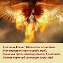 ���� ������, ������ ��������, 46 ��� - ��������� 29 ���� 2016 � ������ ���� ����������