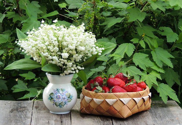   ,    ,    : , , ,   ...