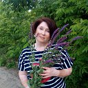 ���� 2016 ��� �� ������� ���� ����������