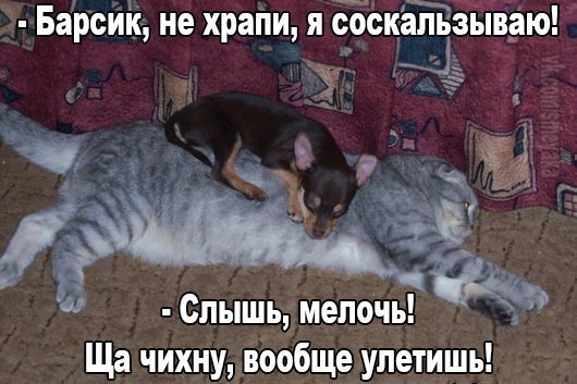    :D - 8  2016  03:36