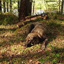 ���� ���, ������������, 46 ��� - ��������� 22 ��� 2016 � ������ �������� 2�