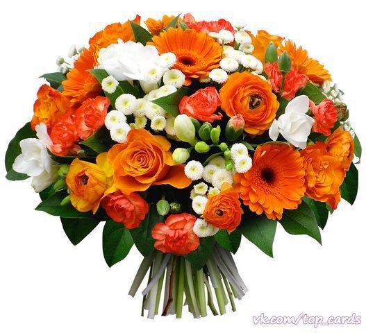 Поздравляем с Днём рождения всех, кто родился сегодня 10 августа