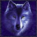 ���� ����, ����������, 48 ��� - ��������� 31 ������� 2016 � ������ ���� ����������