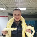 ���� ������, ������� �����, 46 ��� - ��������� 14 ��� 2016 � ������ ���� ����������