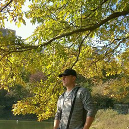 �������, ���������, 49 ���