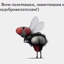  ,  -  10  2016    