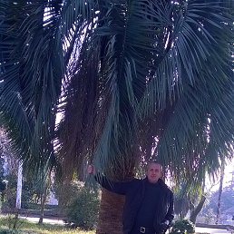 Virginijus, ������, 55 ���