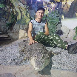 ����, ��������, 47 ���