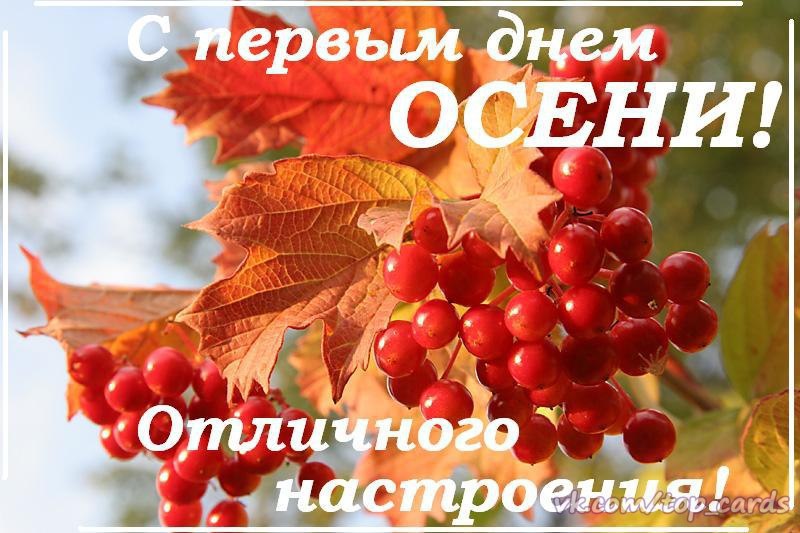  - 1  2016  14:52