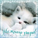 ���� Elena, ����������� - ��������� 27 ������� 2016 � ������ �������� ��������