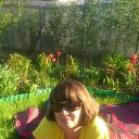 ���� ��������, �����-���������, 54 ���� - ��������� 30 ���� 2016 � ������ ���� ����������