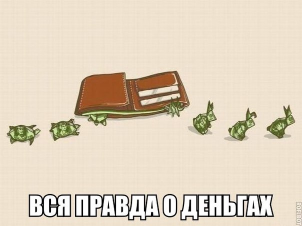 - 25  2016  11:50