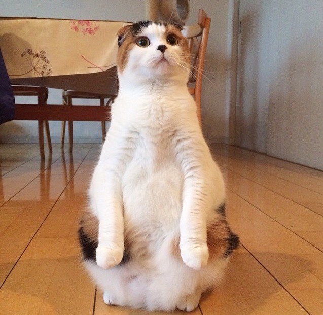   ?