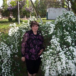 , 54, 