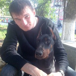 Dobermann, , 38 