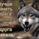 ���� ��������� �������, ��������-��-������, 67 ��� - ��������� 3 ���� 2016 � ������ �2015...�