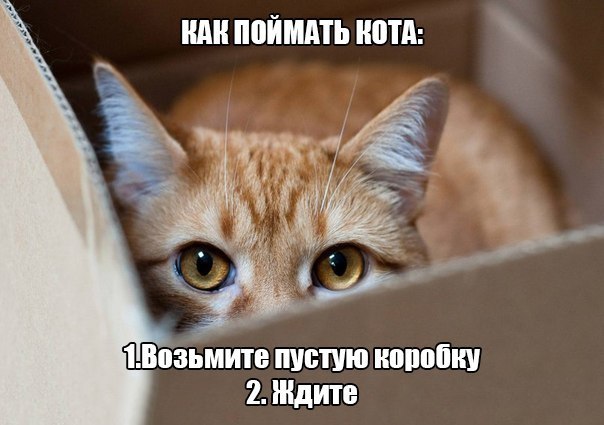  -  - 2  2016  23:27
