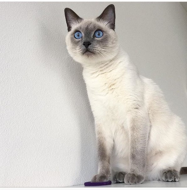 Behind blue eyes - 5
