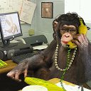 ���� �����, ��������� - ��������� 24 ����� 2017 � ������ ���� ����������