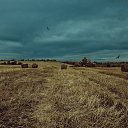  ,  -  13  2016     ... ,   !