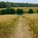 ���� ������, ���������� �����, 74 ���� - ��������� 22 ������ 2016 � ������ ���� ����������