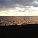  Badri, , 38  -  13  2016    