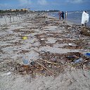 ���� �������, �����-��������� - ��������� 29 ������� 2016 � ������ ������ ��������