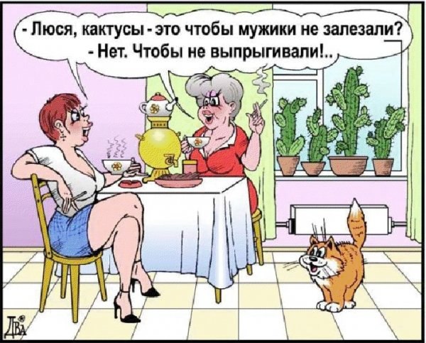 Ну, что ? Будем тихонько хихикать, от души смеяться или дружно поржем ??? )))))) - 3