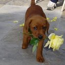 ���� ������, ��������, 49 ��� - ��������� 28 ������� 2017 � ������ ���� ����������