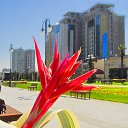  ,  -  20  2016        ͻ