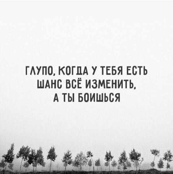    - 4  2016  10:53