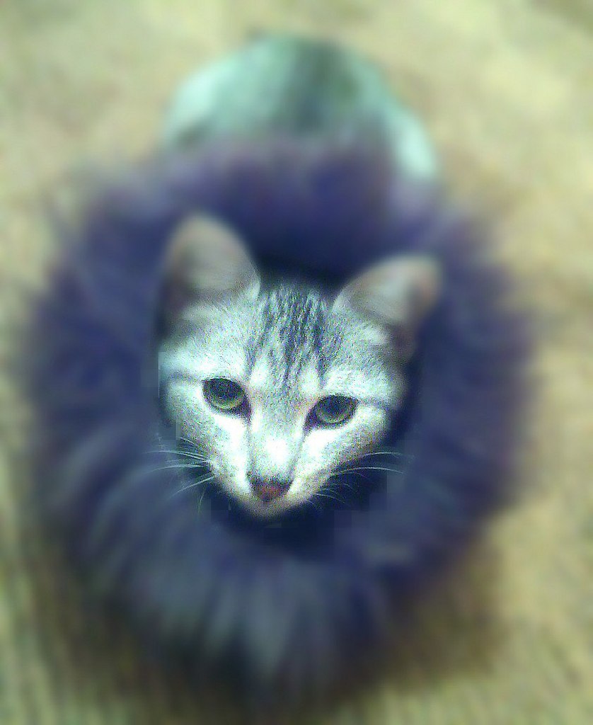 #_.,  .        .   ... - 2